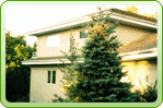 house